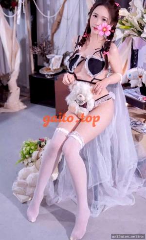 Mèo – ảnh