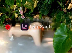 Miu Miu – ảnh
